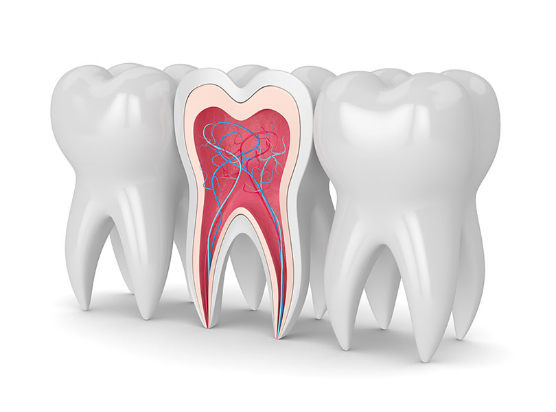 myDentalTX.com - FAQ about Root Canal Treatments